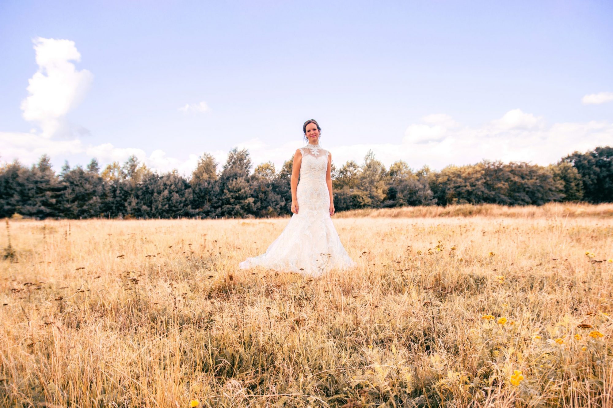 weddingplanner perfecte bruiloften