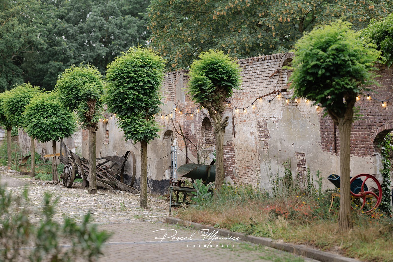 Bruiloft van Bruno en Loes